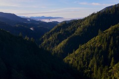 Pacific Vistas from Rogue River-Siskiyou National Forest || Oregon