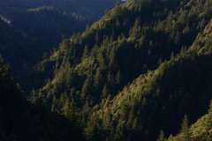 Pacific Vistas from Rogue River-Siskiyou National Forest || Oregon
