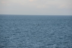 Sailing the Salish Sea || Strait of Juan de Fuca