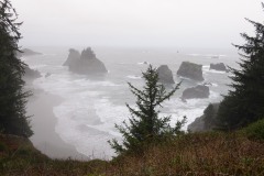 Samuel H. Boardman State Scenic Corridor || Oregon Coast