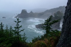 Seal Cove at Samuel H. Boardman State Scenic Corridor || Oregon Coast