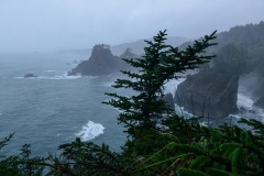 Seal Cove at Samuel H. Boardman State Scenic Corridor || Oregon Coast