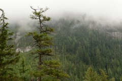 Stawamus Chief || British Columbia, Canada
