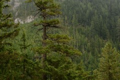 Stawamus Chief || British Columbia, Canada