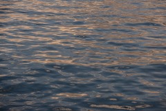 Sunset on the Salish Sea || Rosario Straigt, Washington
