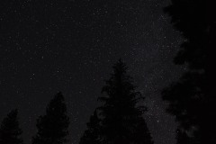 Truck Camping under the Stars || Winema National Forest, Oregon