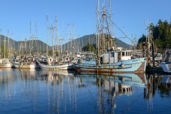 Ucluelet Harbour || Ucluelet, British Columbia, Canada