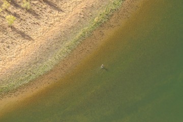 Fishing the Colorado River || Arizona