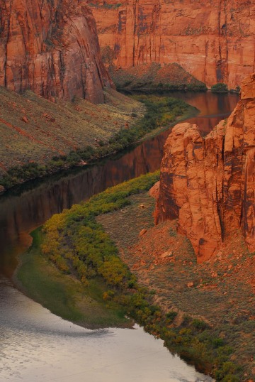 Colorado River Reflections || Arizona