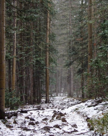 Early Snow in Enchanted Circle || New Mexico