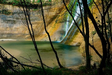 Oasis Through the Trees || Grand Staircase-Escalante NM