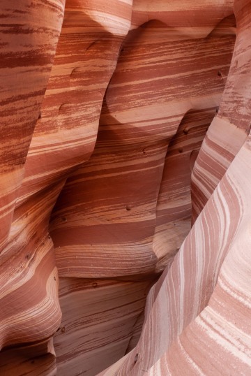 Zebra Slot Canyon 2 || Grand Staircase-Escalante NM