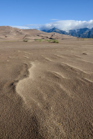 Sand Dune Detail || Great Sand Dunes NP