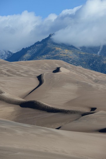 Sand Dune Shadows under the Sangres || Great Sand Dunes NP