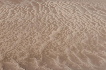 Patterns in the Sand || Great Sand Dunes NP