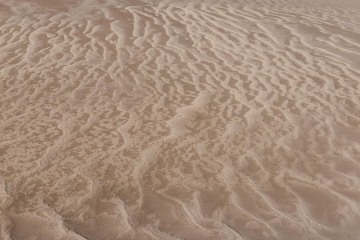 Patterns in the Sand || Great Sand Dunes NP