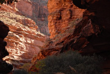 Havasu Canyon || Havasupai Indian Reservation