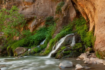 Falls along The Narrows || Zion NP