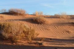 Desert Southwest || Arches NP