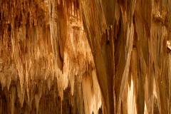 Chandelier Formation || Carlsbad Caverns NP