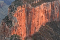 Bathed in Sunlight || Grand Canyon NP
