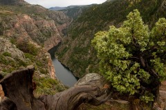The Upper Reaches of the Gunnison || Curecanti National Recreation Area