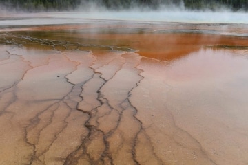 Grand Prismatic Spring || Yellowstone NP