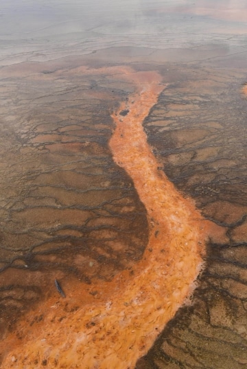 Grand Prismatic Spring || Yellowstone NP