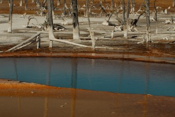 Hot Spring Reflections || Yellowstone NP
