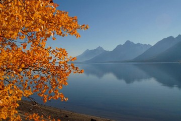 Jackson Lake in Fall || Grand Teton NP