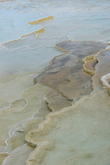 Mammoth Hot Springs || Yellowstone NP
