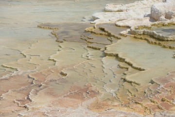Mammoth Hot Springs || Yellowstone NP