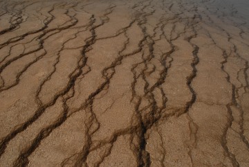Midway Geyser Basin || Yellowstone NP