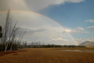Rainbow over Lewis Lake || Yellowstone NP