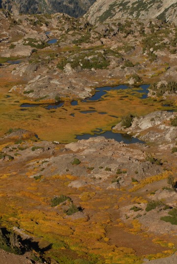 Teton Tundra || Grand Teton NP