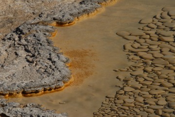 Upper Geyser Basin || Yellowstone NP