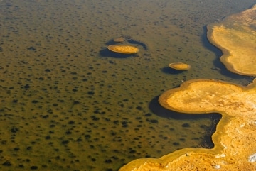 Upper Geyser Basin || Yellowstone NP