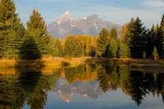 Fall at Schwabacher Landing || Grand Teton NP