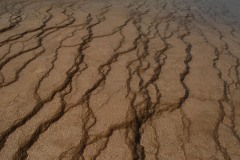 Midway Geyser Basin || Yellowstone NP