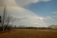 Rainbow over Lewis Lake || Yellowstone NP