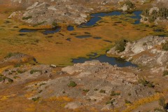 Teton Tundra || Grand Teton NP