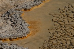 Upper Geyser Basin || Yellowstone NP