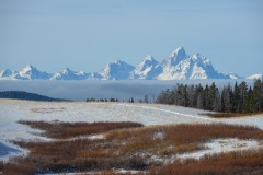 Winter in the Tetons || Wyoming