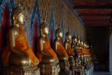 Buddha Statues || Temple of the Dawn