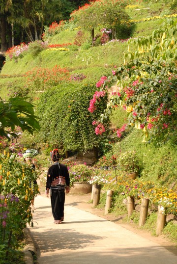 Chiang Mai Hill Tribe || Chiang Mai