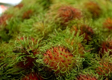 Ripe Rambutans || Bangkok