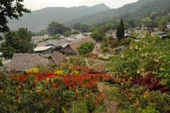 Chiang Mai Hill Tribe || Chiang Mai