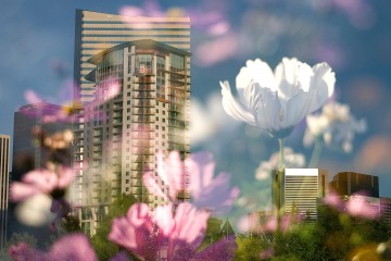 Spring in the City || Denver
