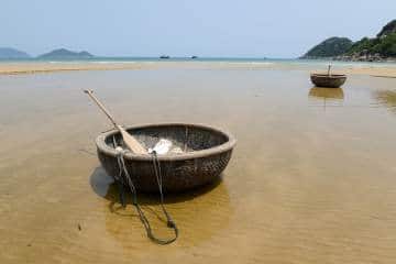 Basket Boats || Cat Loi