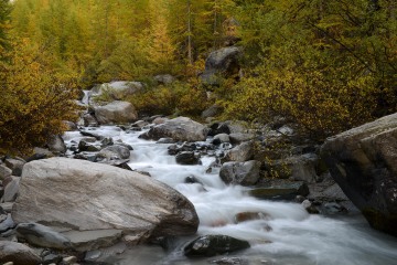Gornera River in Fall || Zermatt, Switzerland